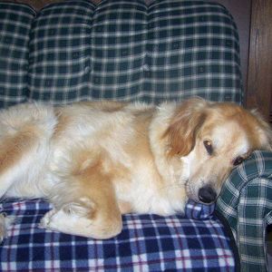 Meet your Posher, Becca